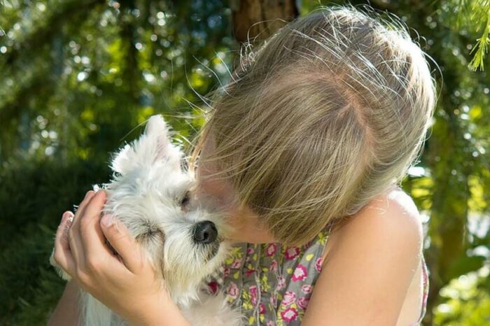Cómo enseñarle a un niño a no maltratar a los animales, en especial las mascotas
