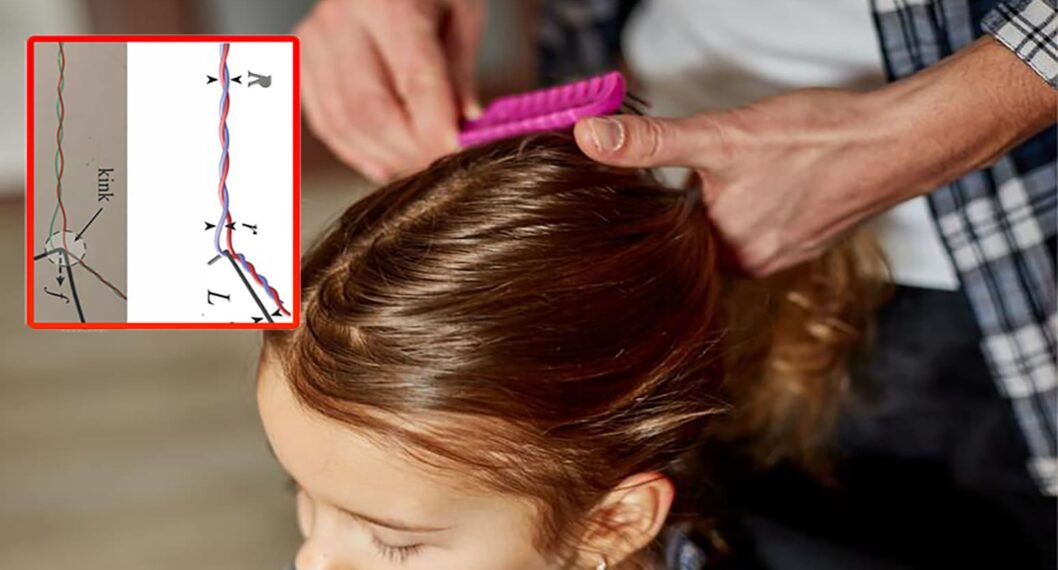 Matemáticos de Harvard dicen que para desenredar cabello se debe comenzar por puntas