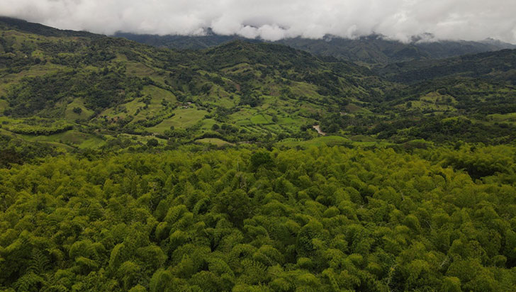Las 12 maravillas naturales del Quindío que muchos no conocen y que encantan a turistas