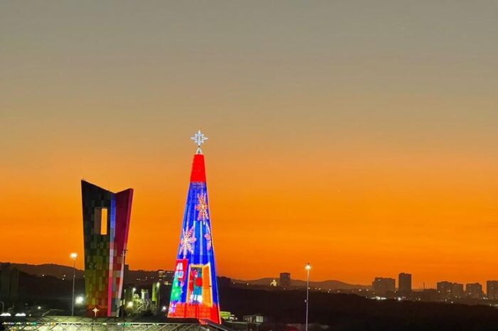 Dónde está el árbol de Navidad más grande de Colombia, de casi 70 metros de alto