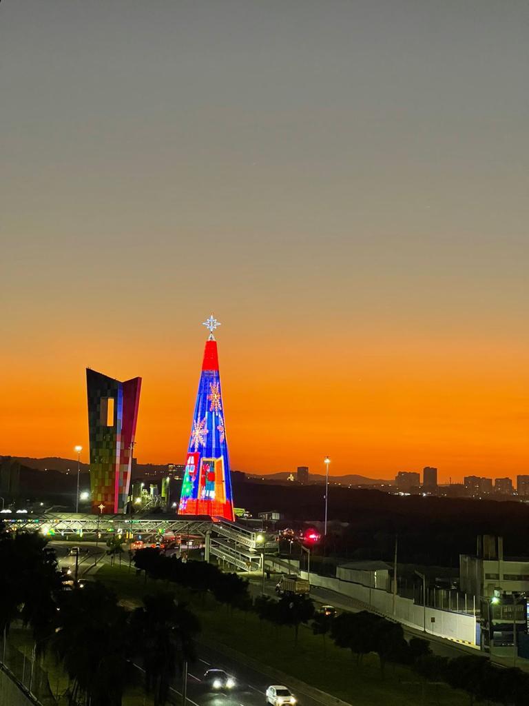 Dónde está el árbol de Navidad más grande de Colombia, de casi 70 metros de alto