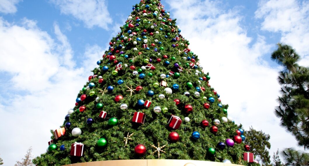Dónde está el árbol de Navidad más grande de Colombia, de casi 70 metros de alto