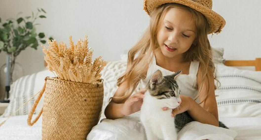 Cuáles son las mejores razas de gatos para convivir con niños; ojo a sus características