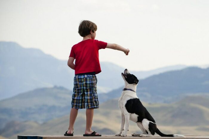 Cómo enseñarle a un niño a convivir con animales; hay consejos muy útiles