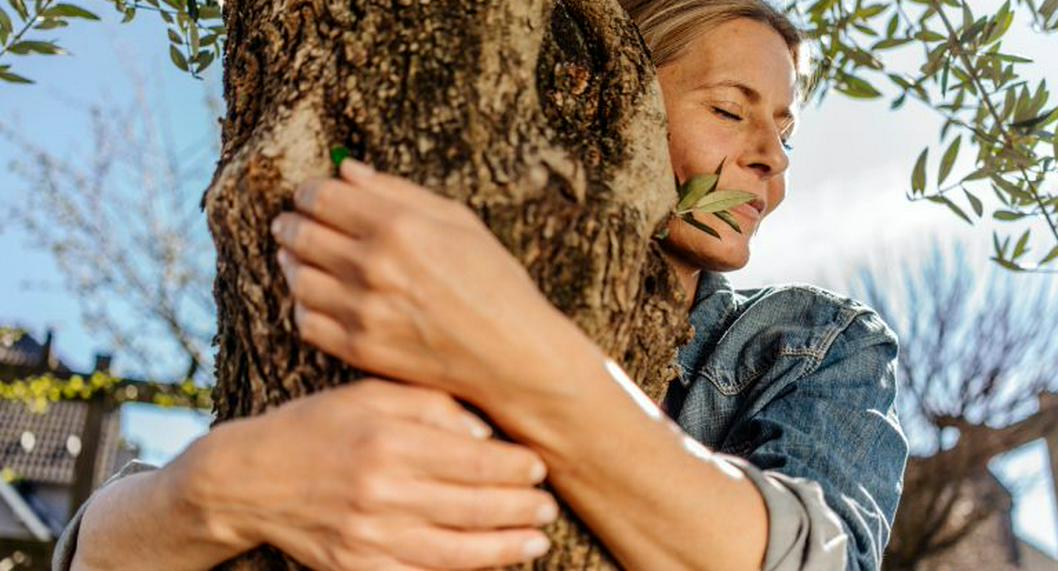 Beneficios para la salud de abrazar un árbol; técnicas contra el estrés y la ansiedad