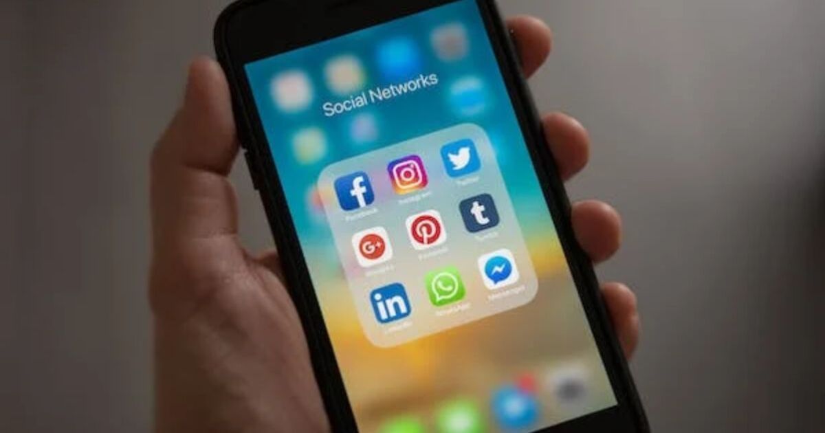 Los "impactos realmente devastadores" de las redes sociales en el desarrollo cognitivo de los niños