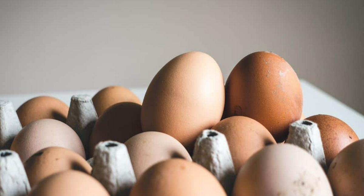 ¿Cuántos huevos se pueden comer al día, según expertos? Es diferente en hombres y mujeres