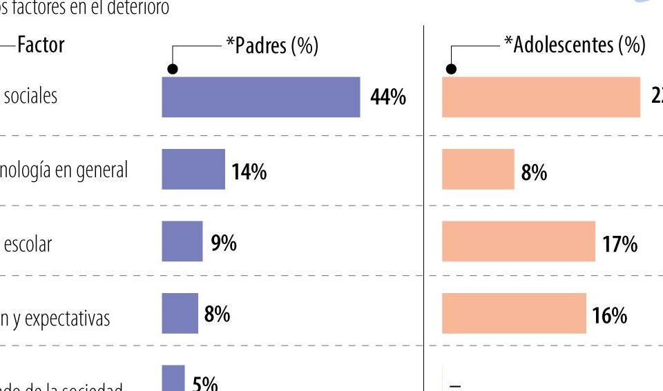 Las redes sociales, entre los factores que más inciden en la salud mental de los jóvenes