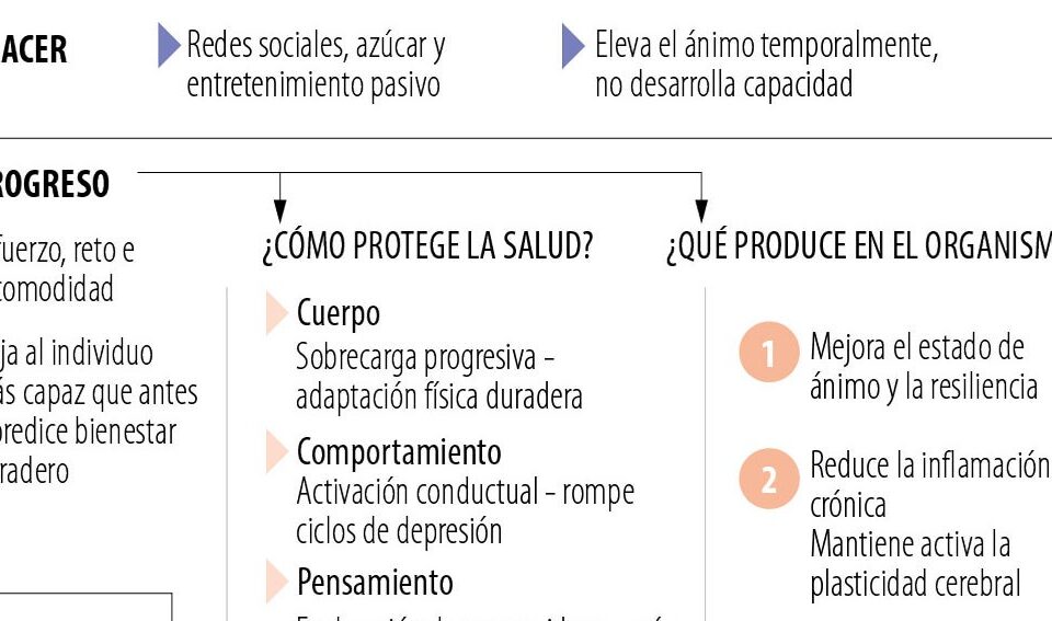 El costo silencioso del confort, por qué el cerebro y el cuerpo necesitan del esfuerzo