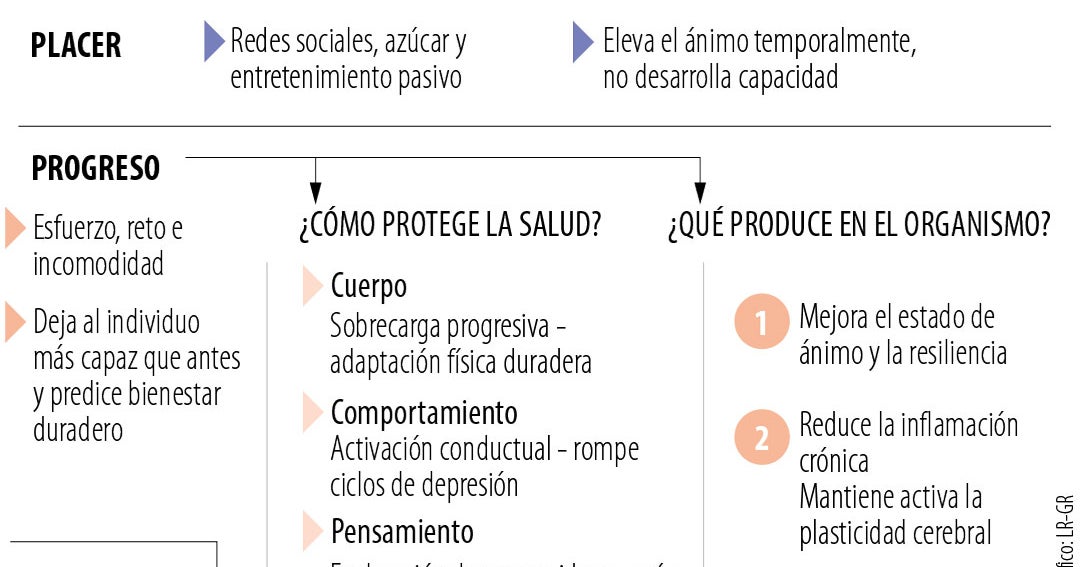 El costo silencioso del confort, por qué el cerebro y el cuerpo necesitan del esfuerzo