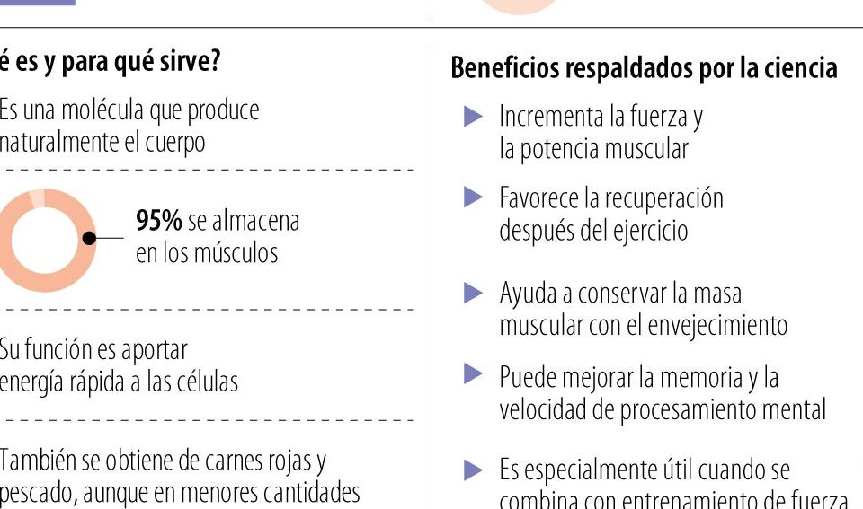 Creatina, el suplemento que tomaban los culturistas y que ahora recomiendan médicos