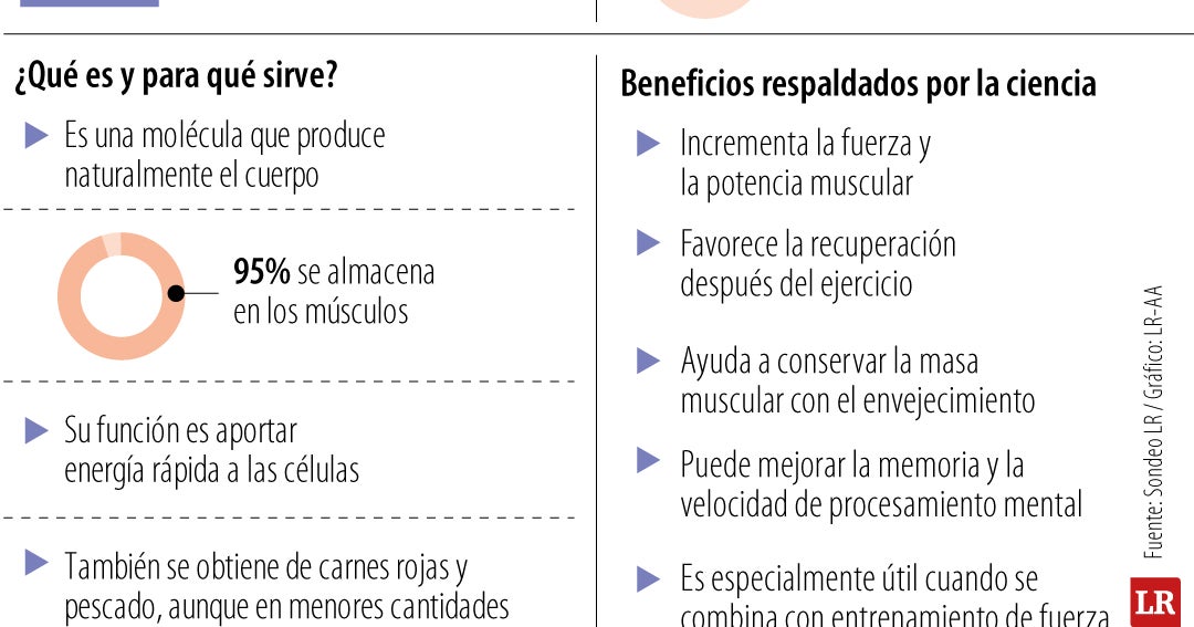 Creatina, el suplemento que tomaban los culturistas y que ahora recomiendan médicos